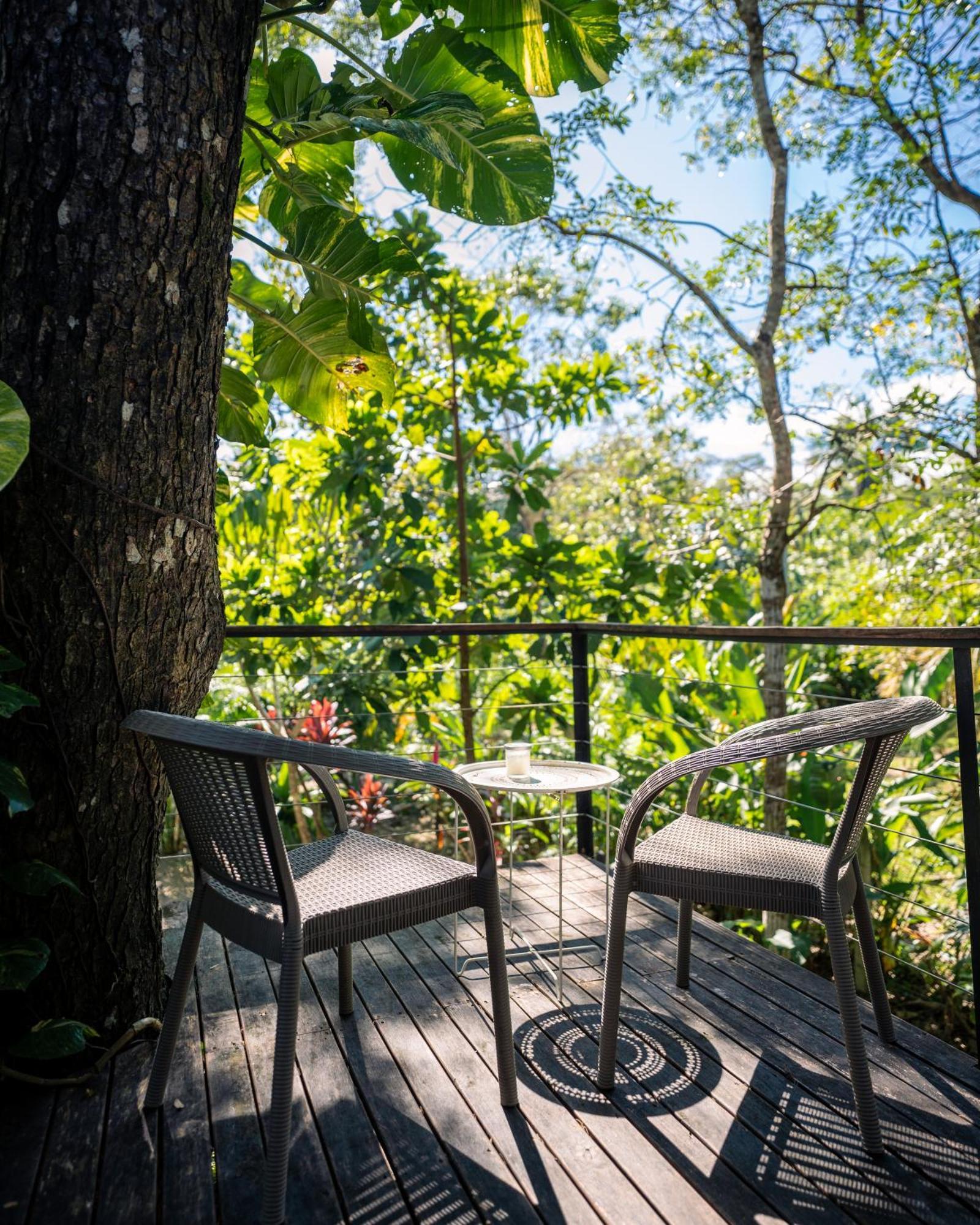 Feeling Trees Jungle Lodge Cabuya  外观 照片