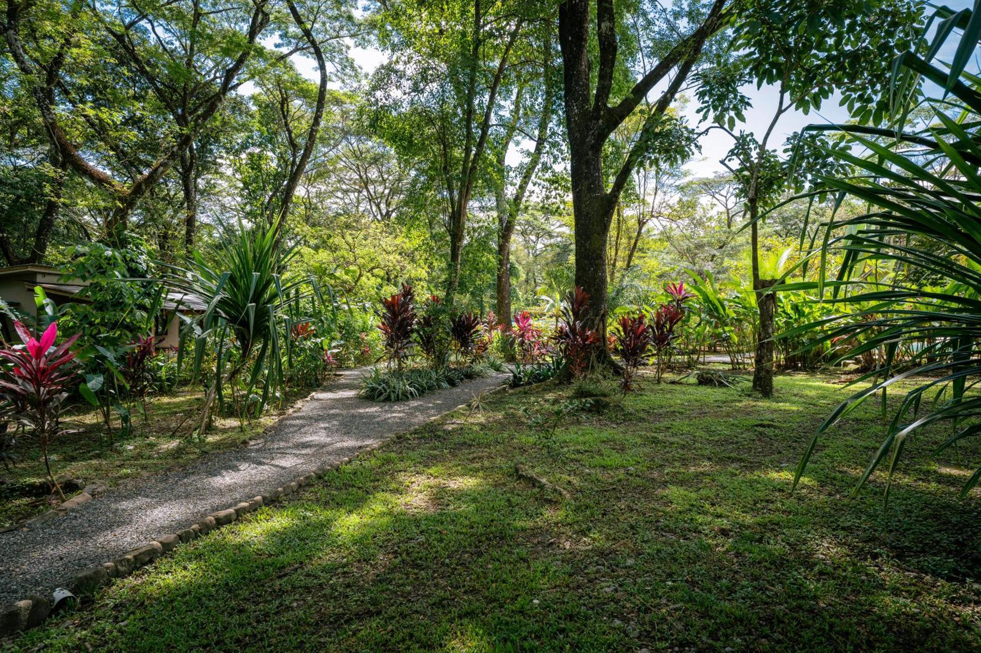 Feeling Trees Jungle Lodge Cabuya  外观 照片