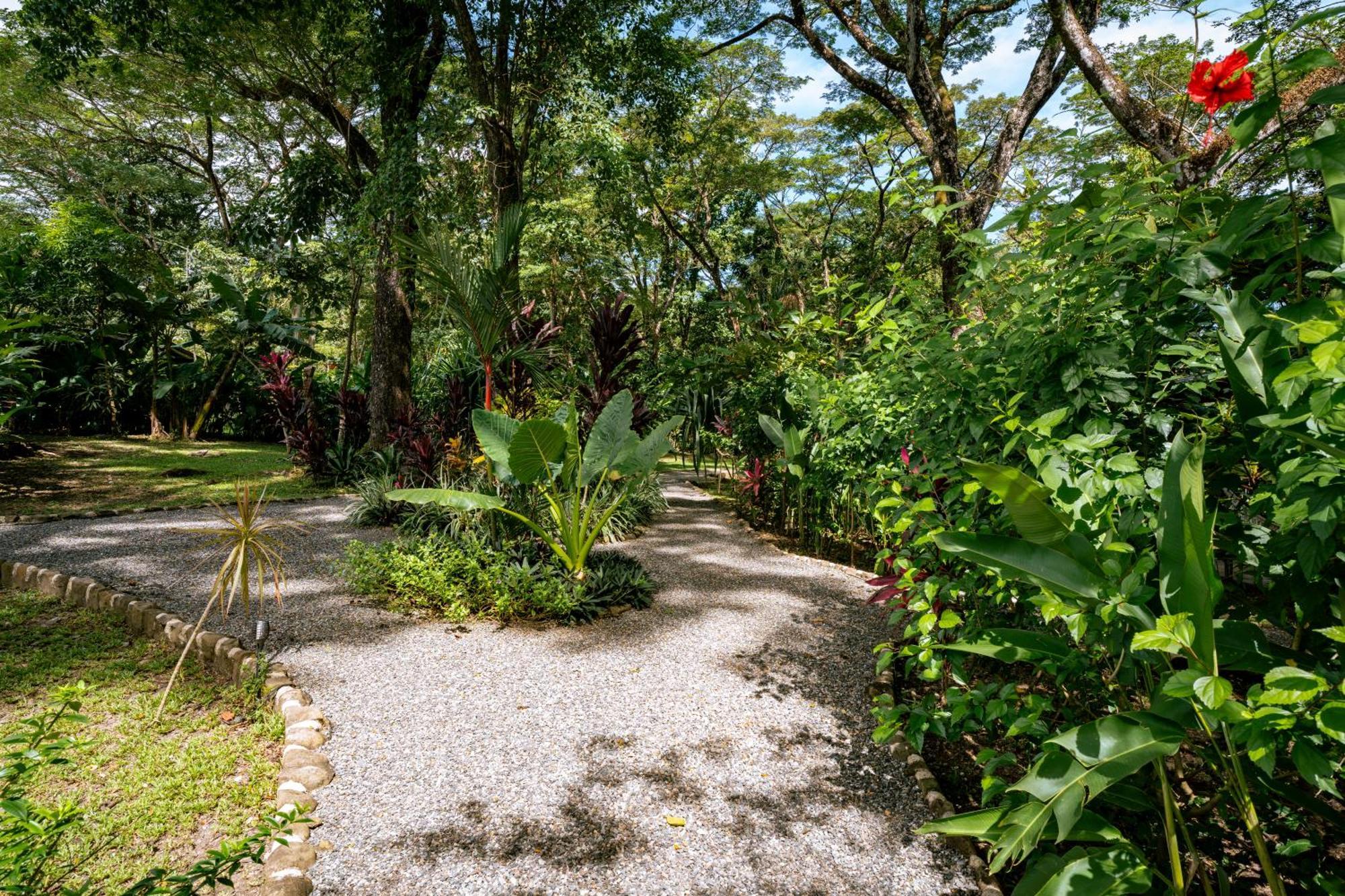 Feeling Trees Jungle Lodge Cabuya  外观 照片