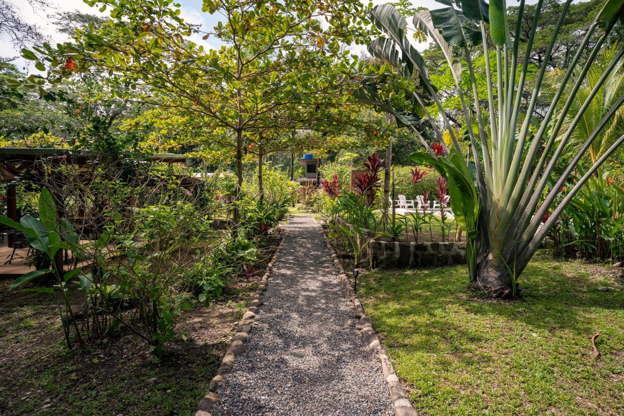Feeling Trees Jungle Lodge Cabuya  外观 照片