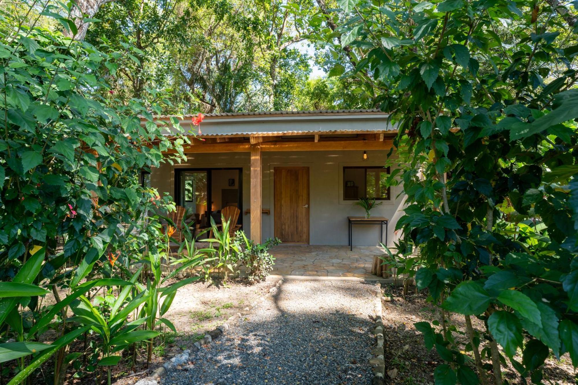 Feeling Trees Jungle Lodge Cabuya  外观 照片