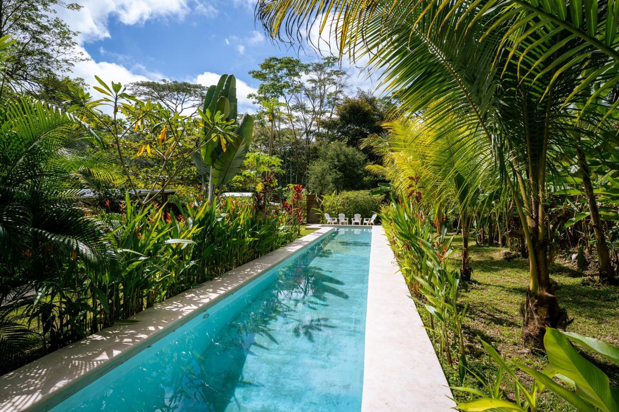 Feeling Trees Jungle Lodge Cabuya  外观 照片