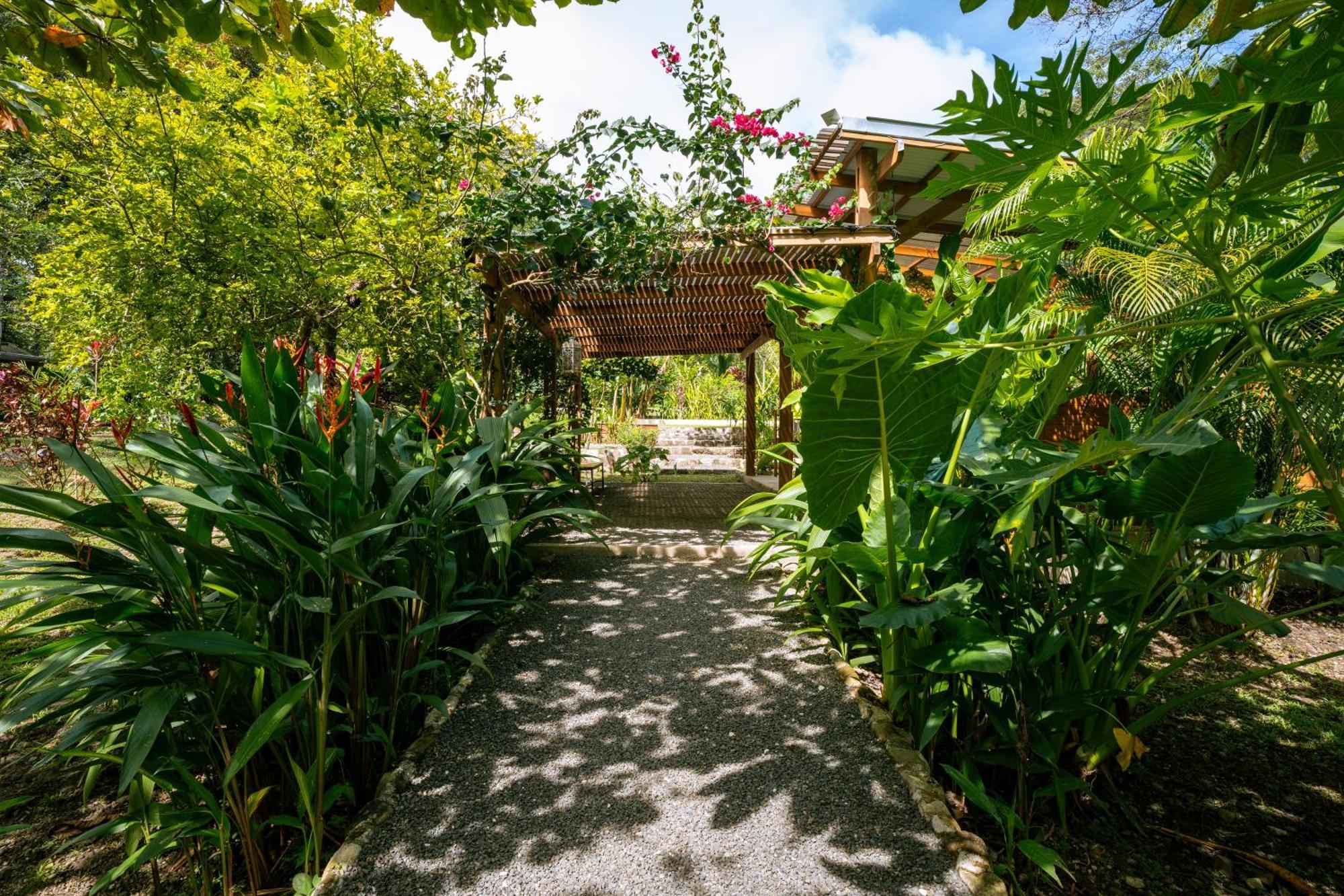 Feeling Trees Jungle Lodge Cabuya  外观 照片