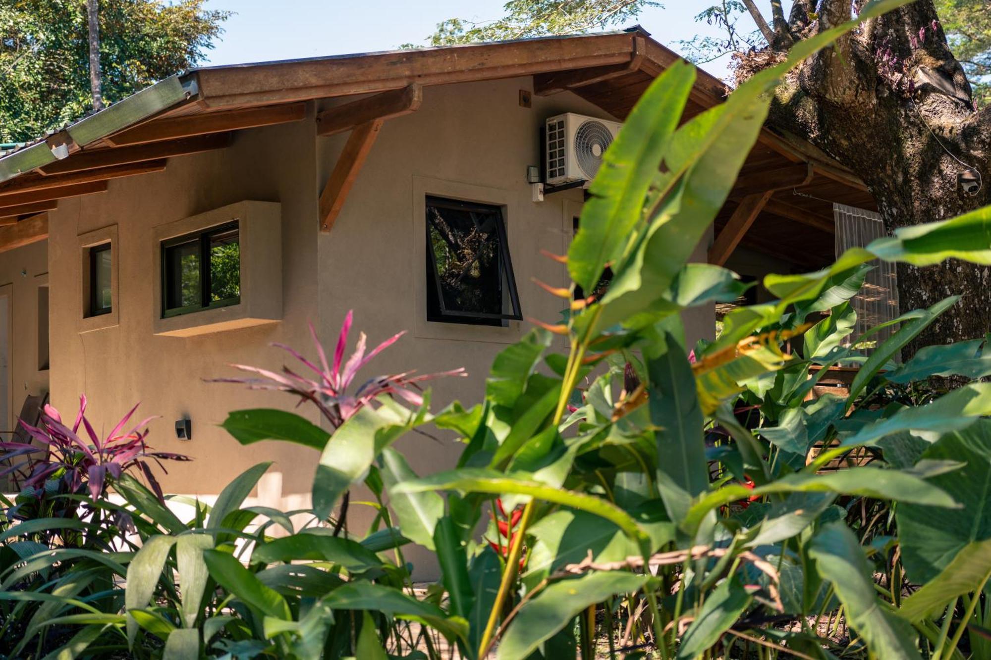 Feeling Trees Jungle Lodge Cabuya  外观 照片