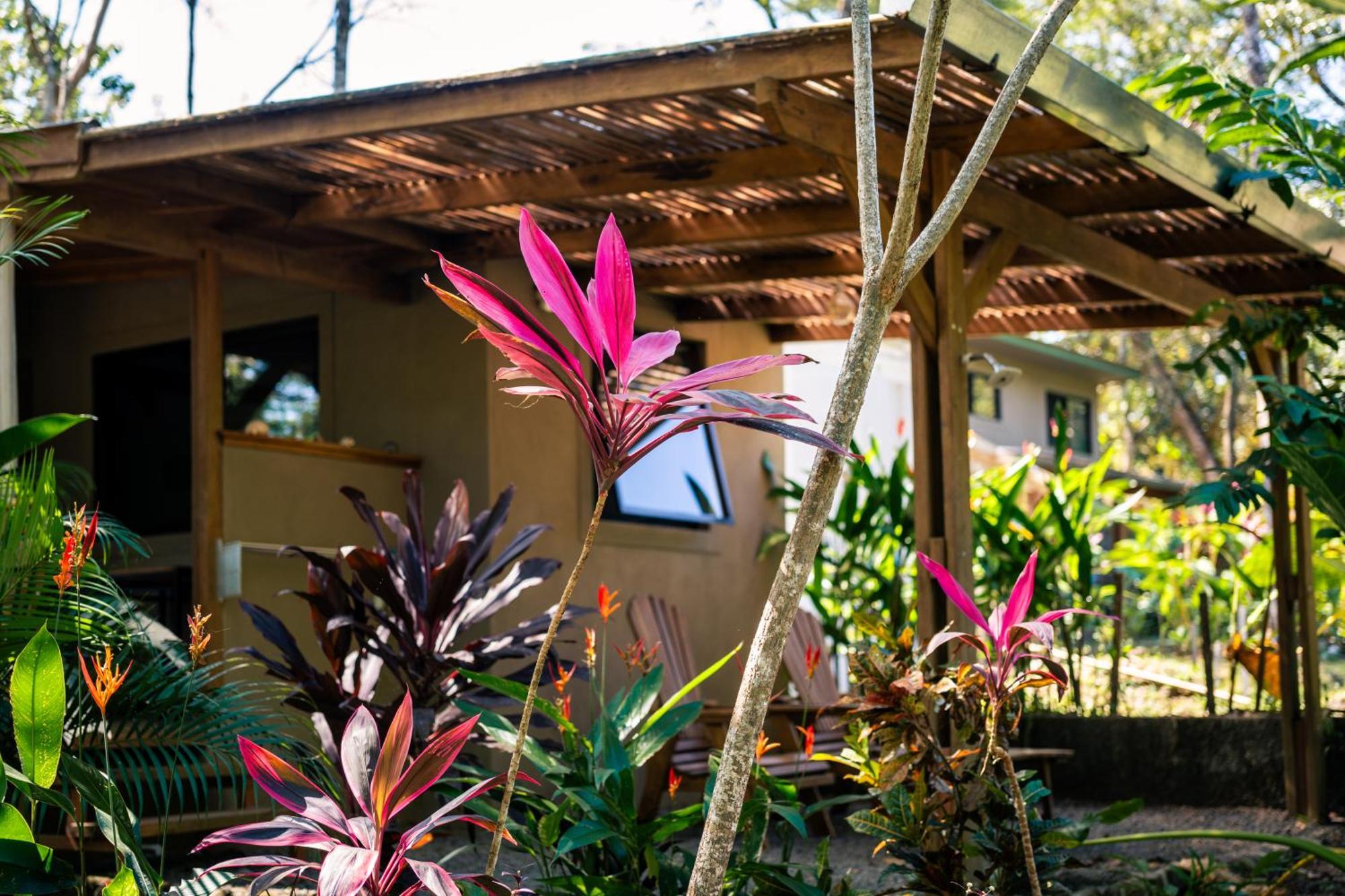 Feeling Trees Jungle Lodge Cabuya  外观 照片