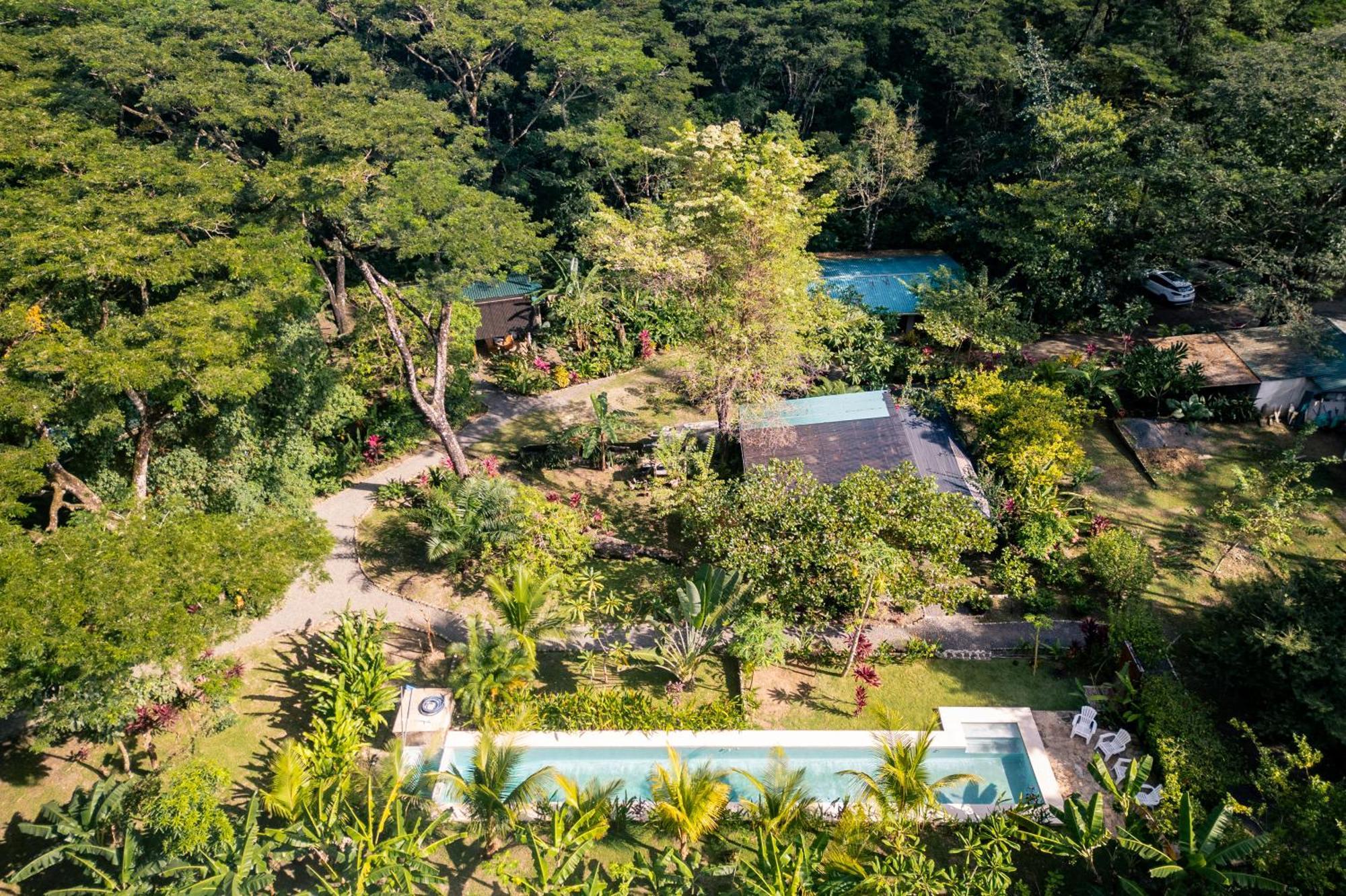 Feeling Trees Jungle Lodge Cabuya  外观 照片