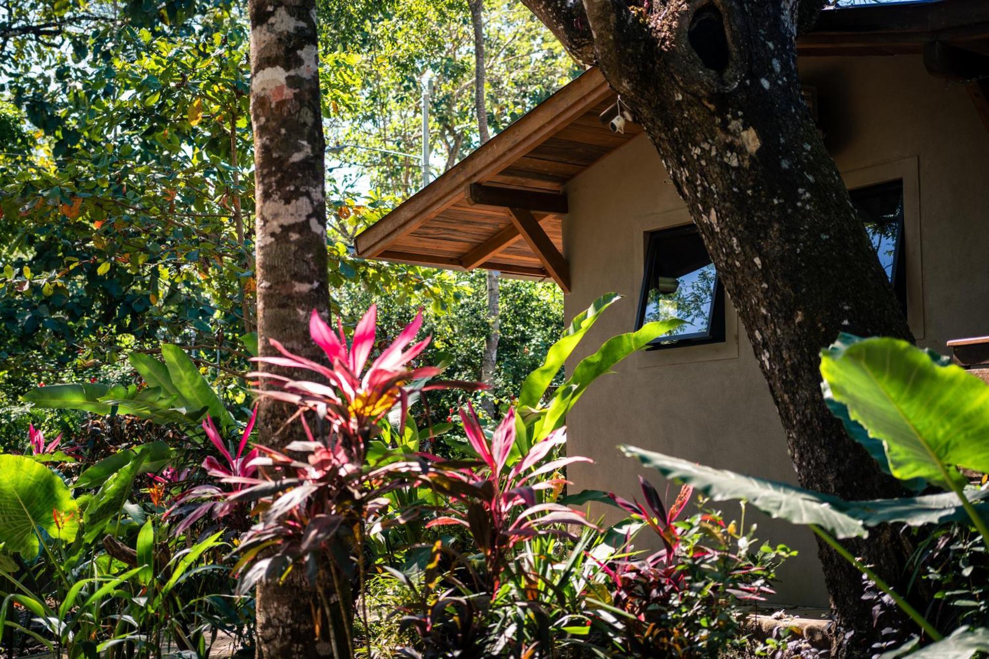 Feeling Trees Jungle Lodge Cabuya  外观 照片