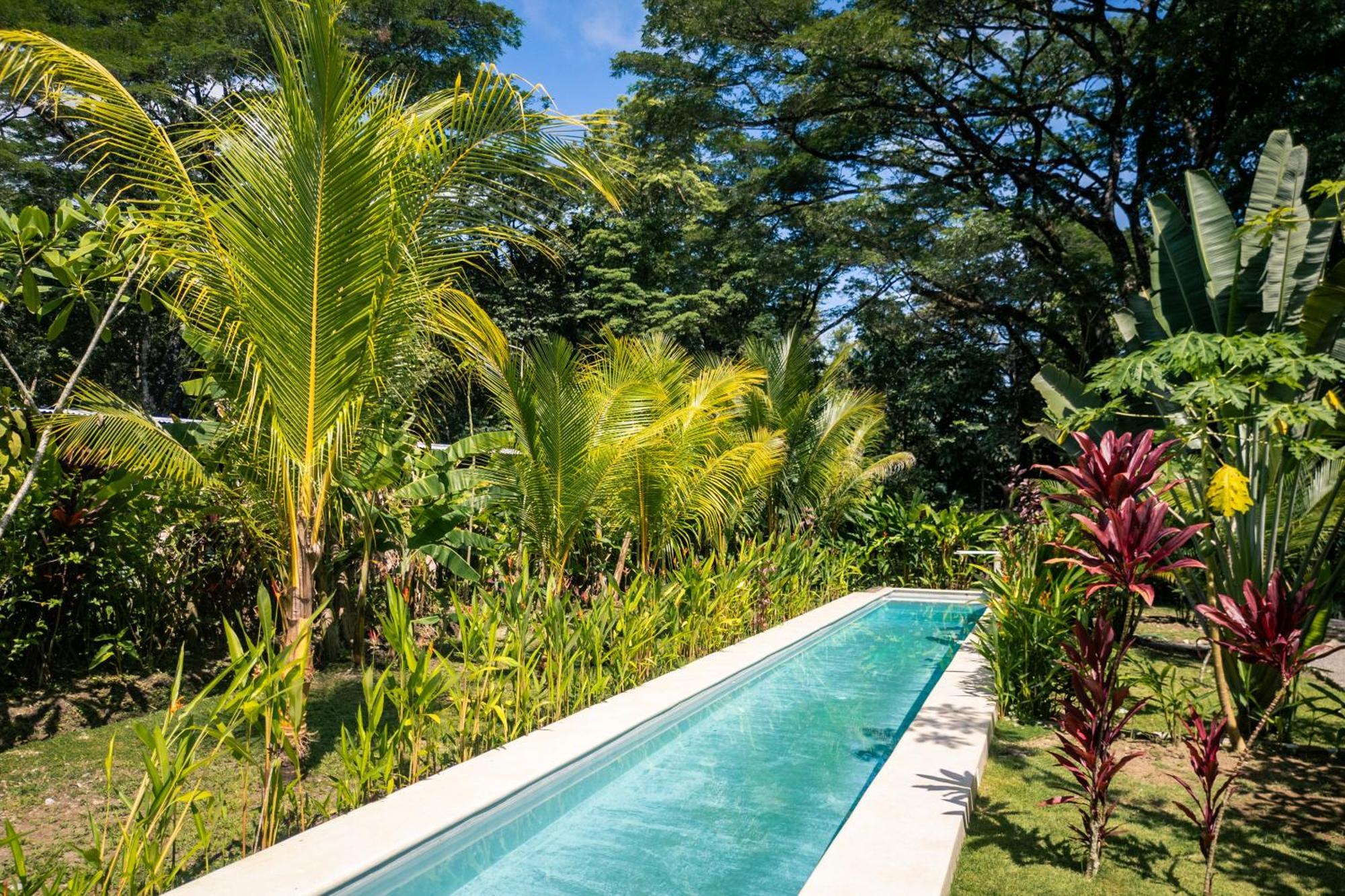 Feeling Trees Jungle Lodge Cabuya  外观 照片